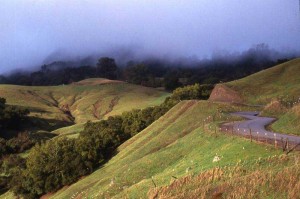 Photo: WineCoastCountry.com