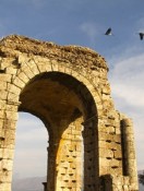 Road Trip:  Birding Spanish Style