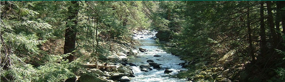 Photo Credit: Bash Bish Creek Taconic State Park