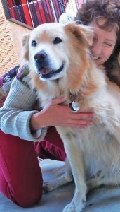 susan ribnick and solovino