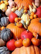 Fall and Holiday Travel Idea: Winston-Salem, North Carolina