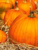 Fall is for Pumpkins and That Means More than Pie
