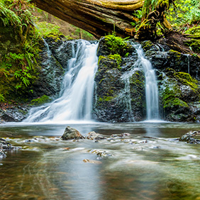 water stream drinking water