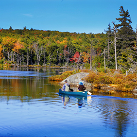 Fall Foliage Berkshires