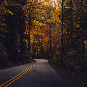 Photo: Unsplash. Jordan Whitt
