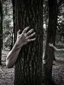 fear