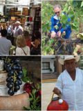 food tours