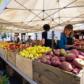 Farmers Market New York City