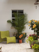Add Instant Style with Container Gardens | Healthy Aging®