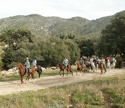 horseback riding in Mallorca