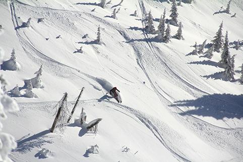 Whitefish Montana healthyaging.net