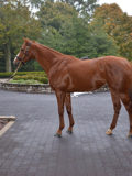 Lexington, Kentucky