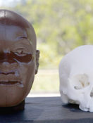 New Study Unveils the History of Populations in the Americas
