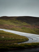 Win an Avis Two-Day Car Rental At the “Road Trips Across America” Panel
