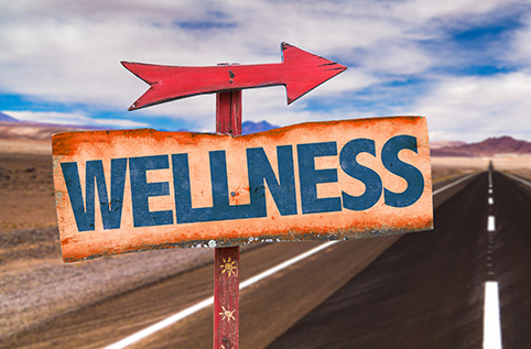 wellness healthyaging.net