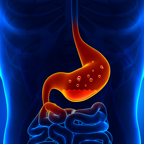 stomach acid healthyaging.net