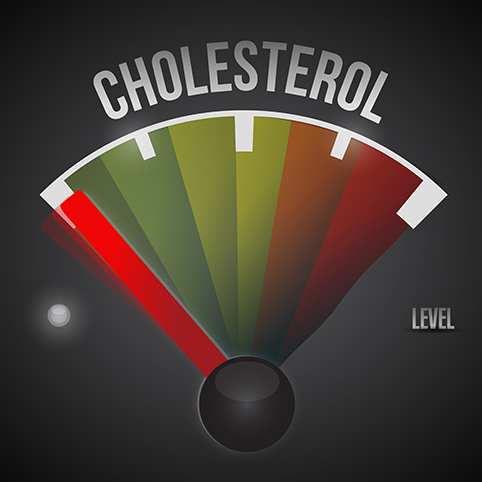 low cholesterol