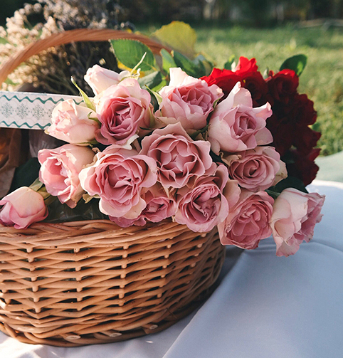 basket of roses