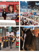 Save the Date for The New York Times Travel Show! January 24 – 26 2020