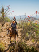 Win a Dude Ranch Vacation in Random Drawing