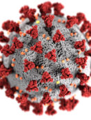 Older Adults at Higher Risk for Coronavirus — What to Know