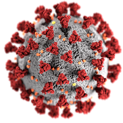 Illustration, created at the Centers for Disease Control and Prevention (CDC)