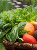 Getting Started with a Kitchen Garden