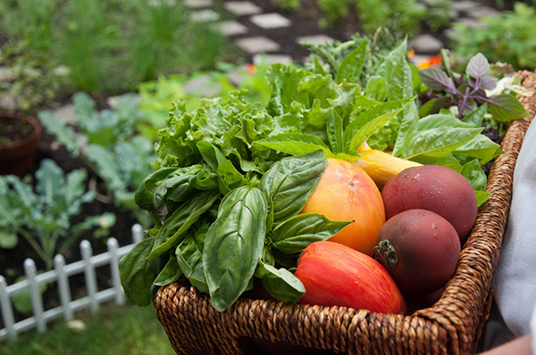 Kitchen gardens