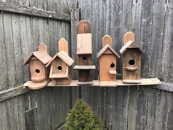 birdhouses