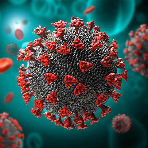 coronavirus COVID-19