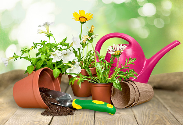 grow something indoors or out