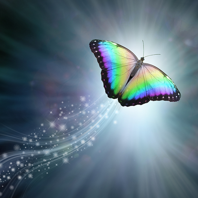 Power to change your life