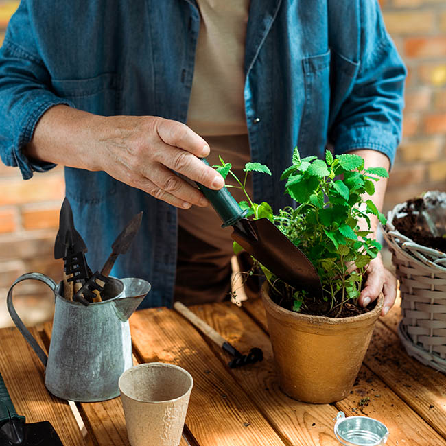 gardening in small places