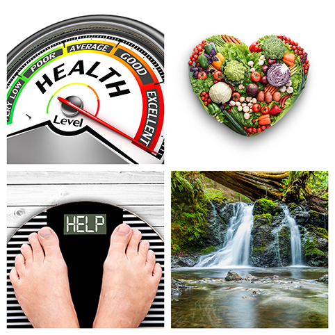 Healthy Aging Survey