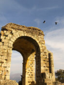 Road Trip: Birding Spanish Style
